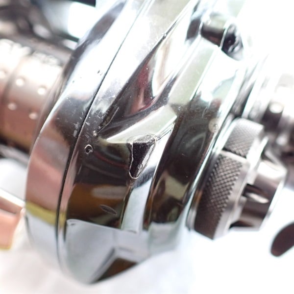 スティーズリミテッド右